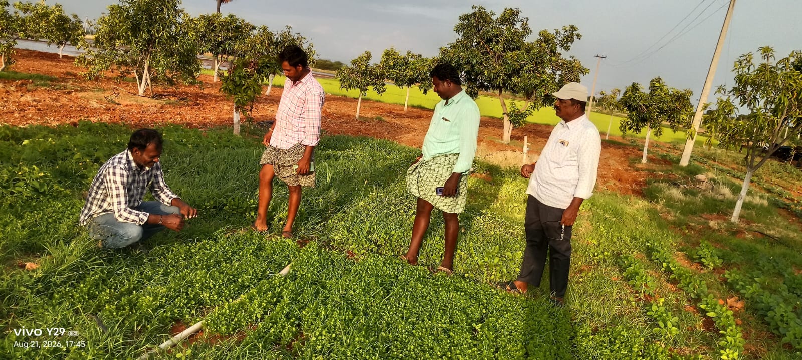 Modl plot
